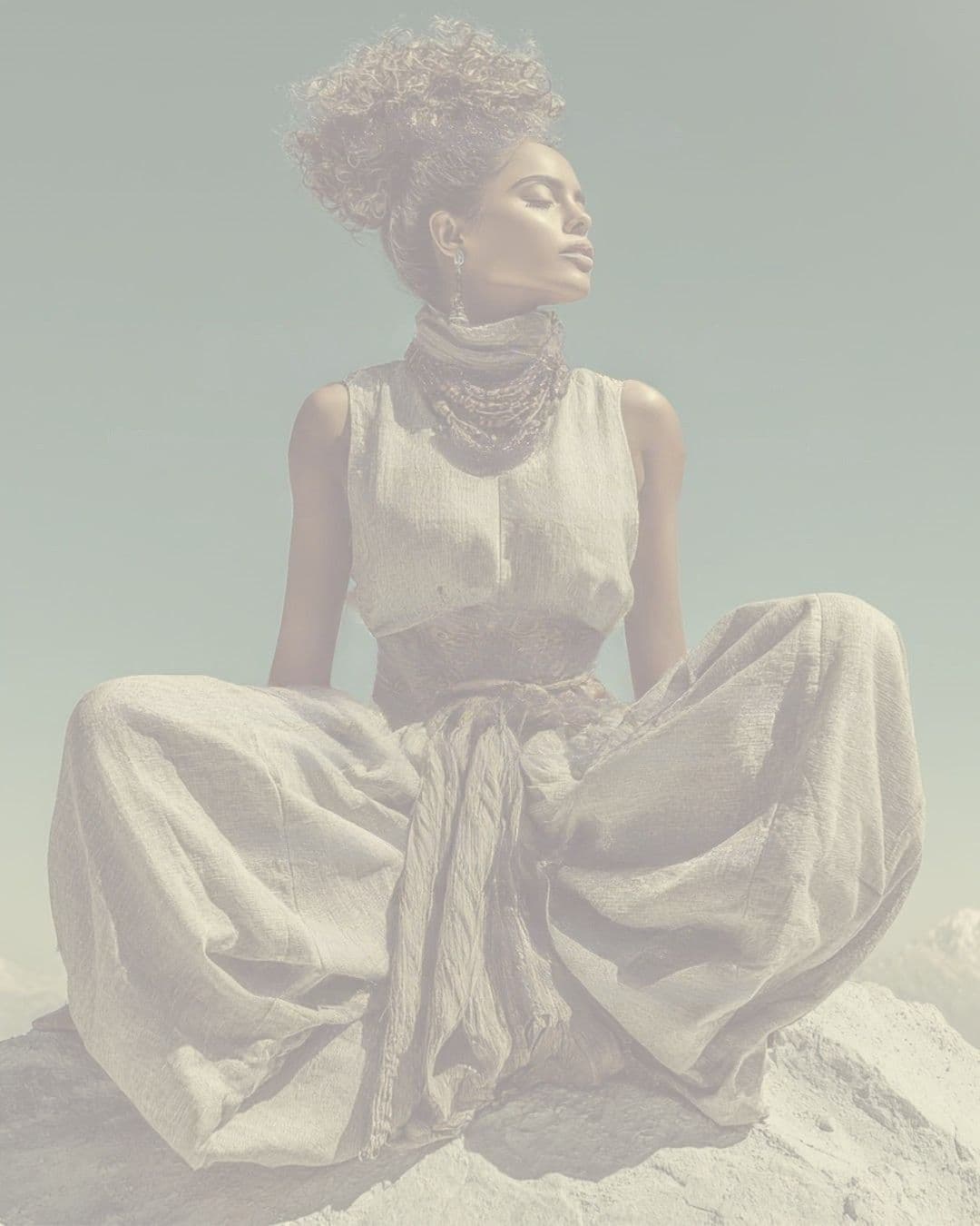 The Sage