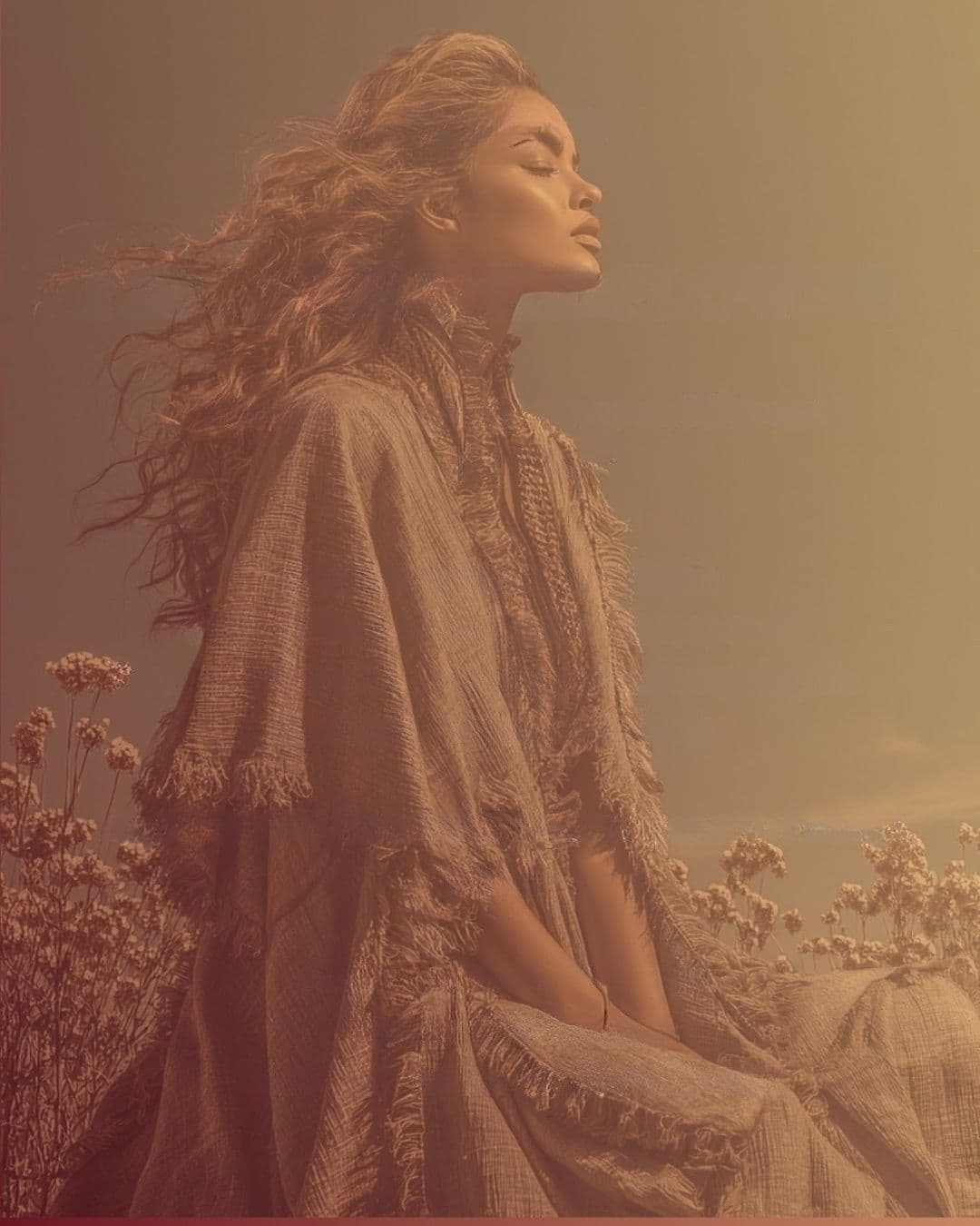 The Wildflower